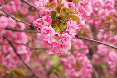常州天宁区7线下个人借款平台一站式服务，轻松解决资金难题
