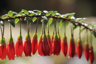 常州天宁区7零用贷短借：轻松解决临时资金需求