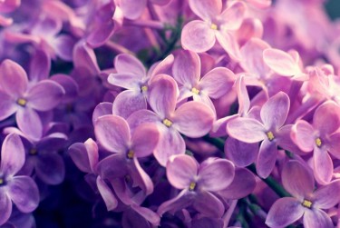 常州天宁区7企业急用钱贷款攻略：快速融资解燃眉之急